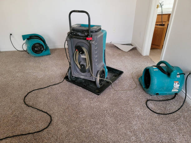 Best Flood damage cleanup  in Soh Salt Lake, UT