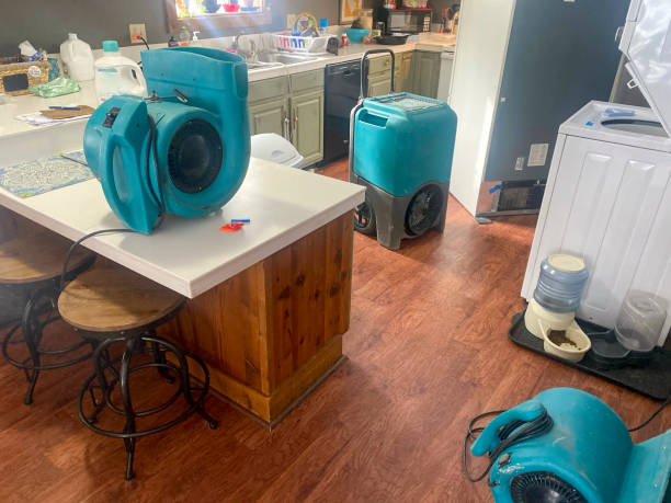 Best Local water damage restoration  in Soh Salt Lake, UT