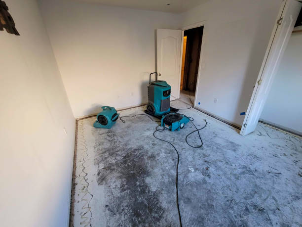 Best Water damage cleanup near me  in Soh Salt Lake, UT