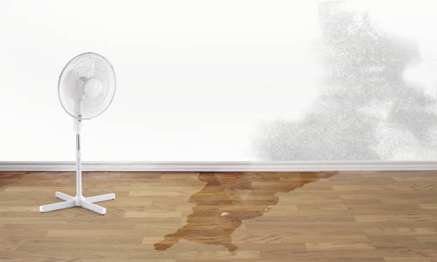 Best Water damage restoration near me  in Soh Salt Lake, UT