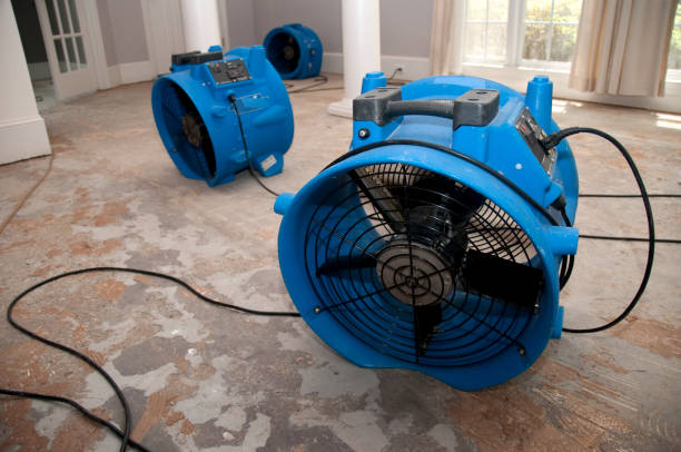 Best 24/7 water damage repair  in Soh Salt Lake, UT