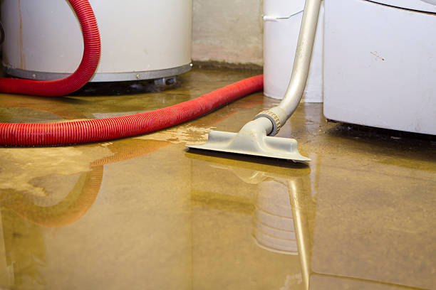 Water damage restoration mold remediation in South Salt Lake, UT